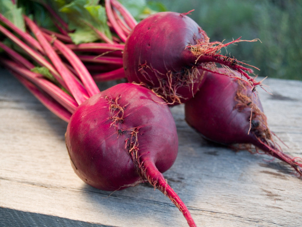 Beet Bunch