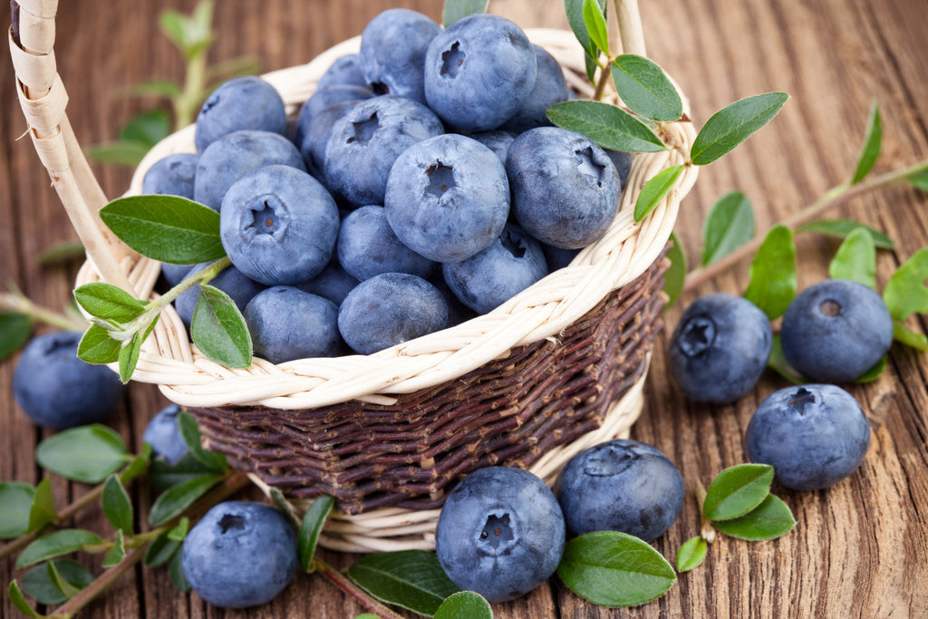 Berries - Blueberry