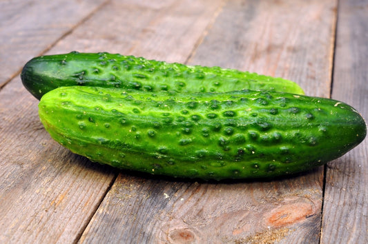 Cucumber XL