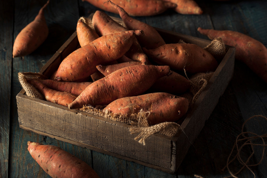 Sweet Potato
