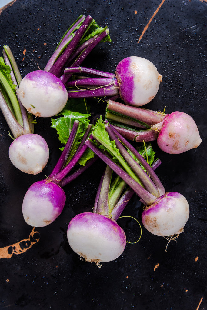 Turnip