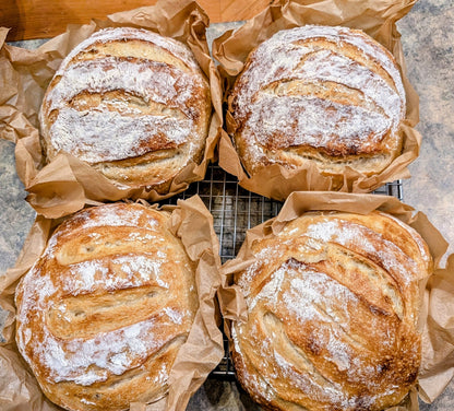 Sour Dough Bread