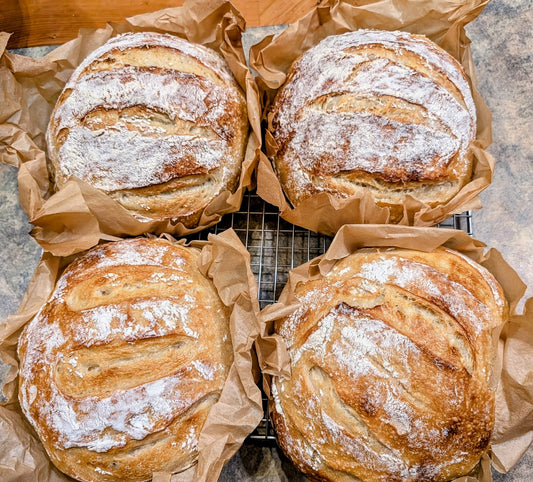 Sour Dough Bread
