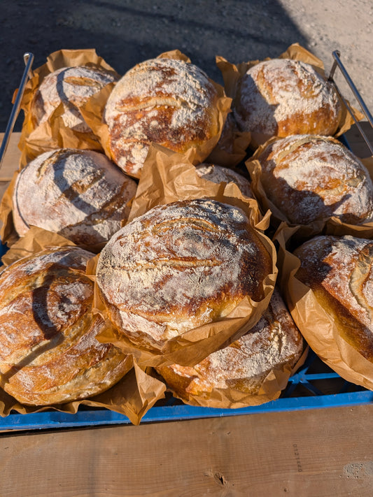 Sour Dough Bread