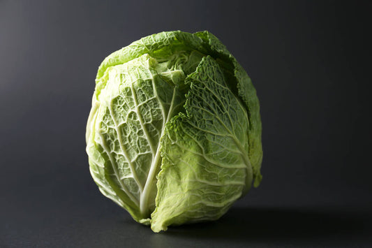 Cabbage - Green