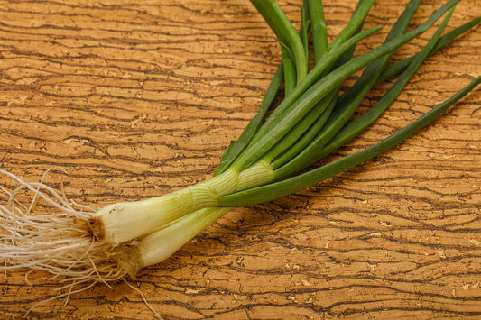 Green Onion Bunch