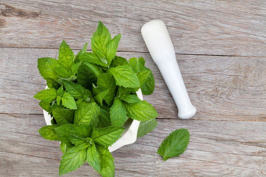 Herb - Mint