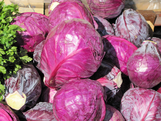 Cabbage - Red