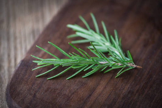 Herb - Rosemary