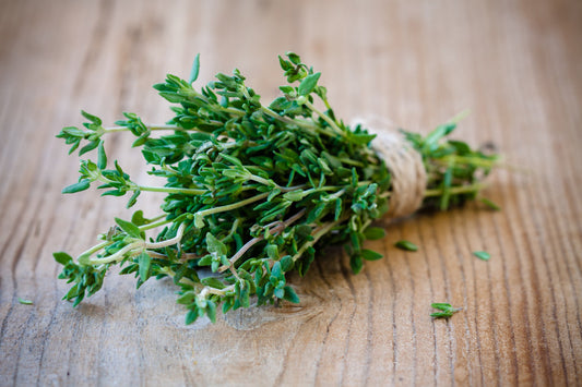 Herb - Thyme