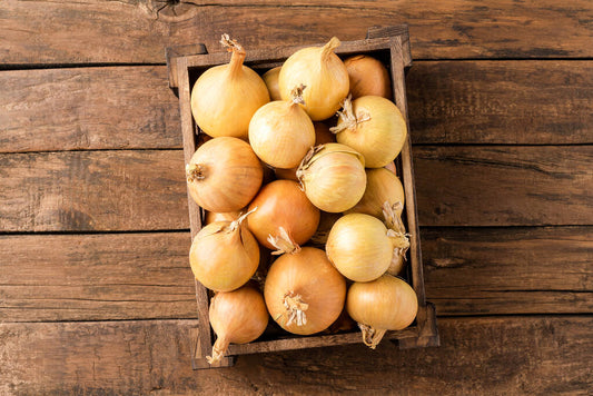 Onions White  XL